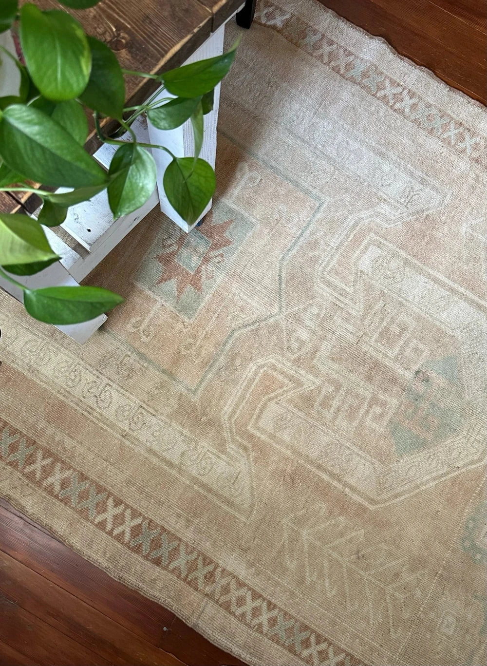 5 by 8 neutral Turkish are rug featuring double border and muted brown tones with pops of blue